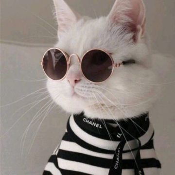qq0d5630f3fa